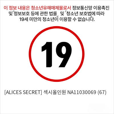 [ALICES SECRET] 섹시올인원 NA11030069 (67)